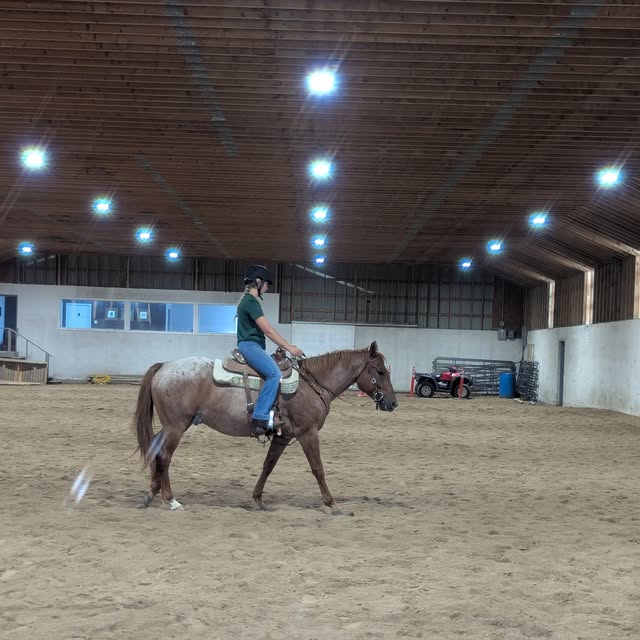 Solo rider in the arena