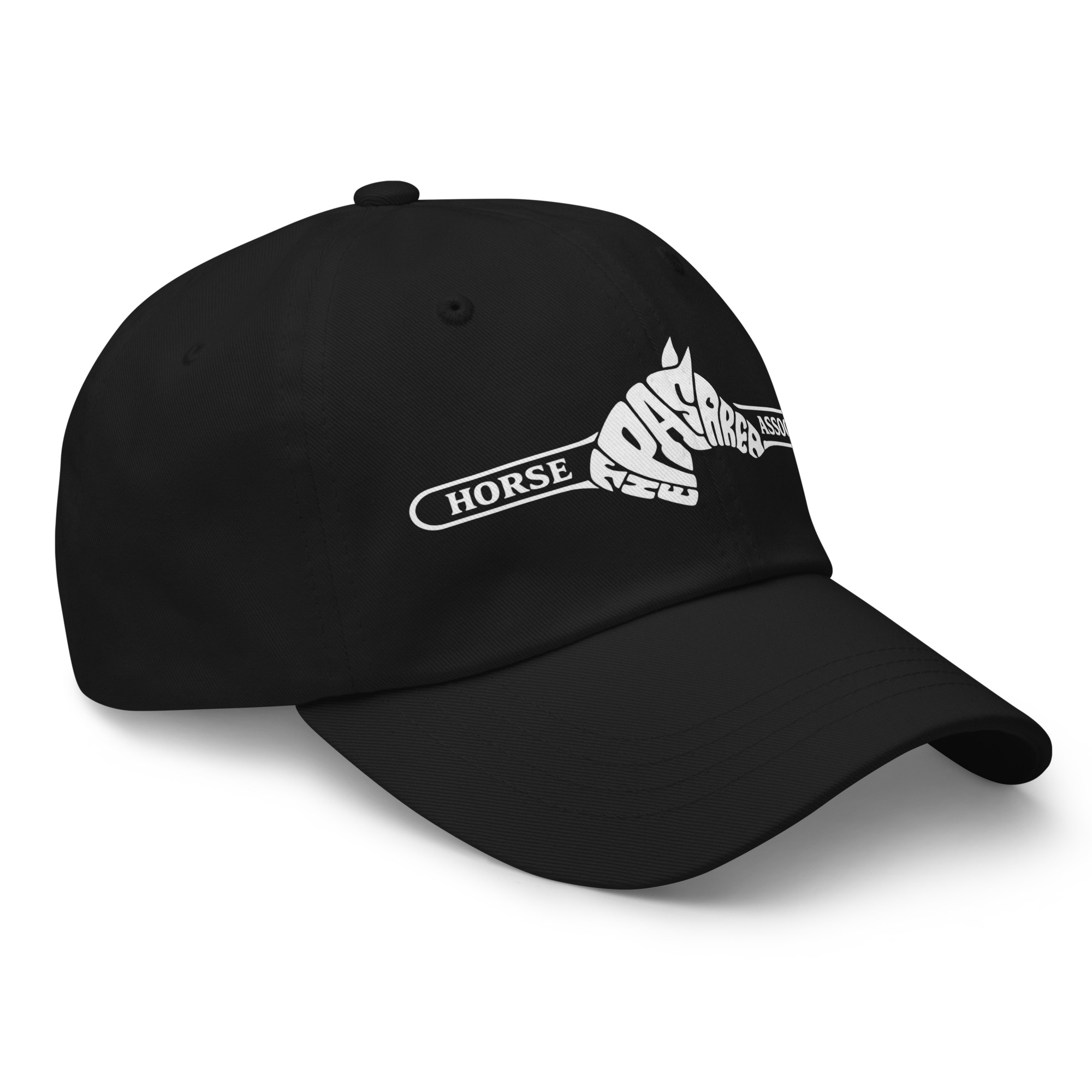 Dad hat - right-front